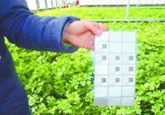 沒有防偽標簽的商品是假的嗎？什么是防偽標簽？